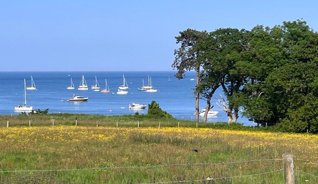 Studland View Cottage