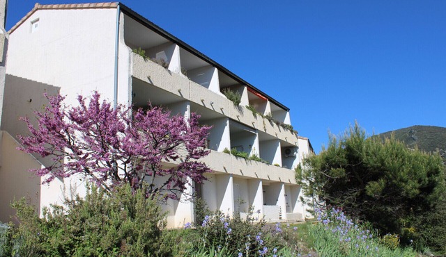 STUDOTEL 417 LES CHENES VERTS