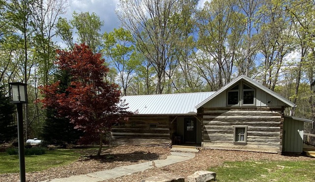 Stumphouse Cabin near Stumphouse Mtn Bike Park~Pet's Welcome! No cleaning fees!