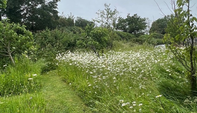 Stunning 1-bed in Bruton Somerset, Stunning Views