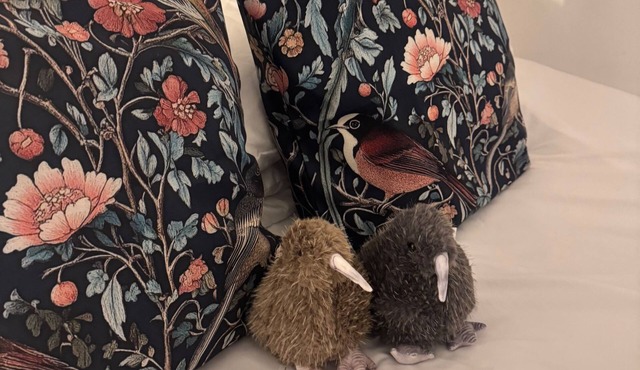 Stunning 1-Bed Private Apartment in Norwich