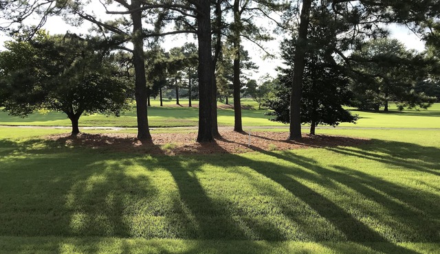 Stunning 1 Bedroom condo on River Golf Course Ninth Hole.