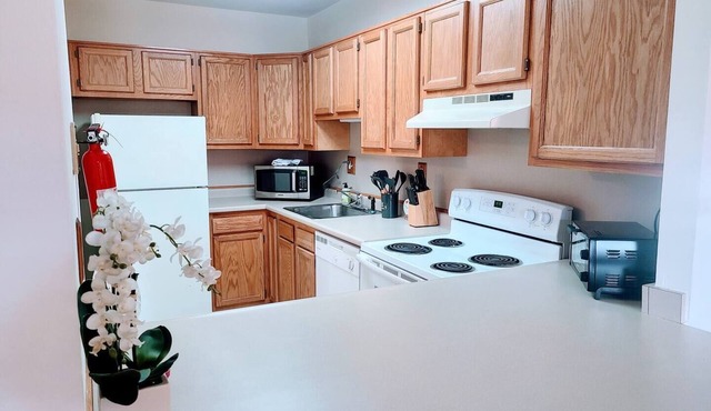 Stunning 1-bedroom condo available for both short and long-term