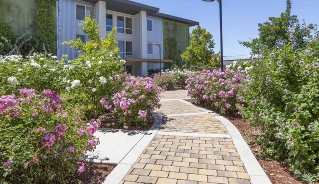 Stunning 2BR Condo w Gym & Pool in San Mateo