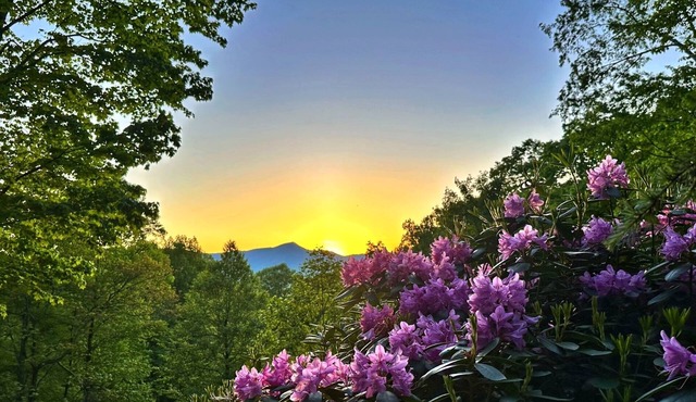 Stunning 3-bedroom private mountain retreat nestled in the Smoky Mountains
