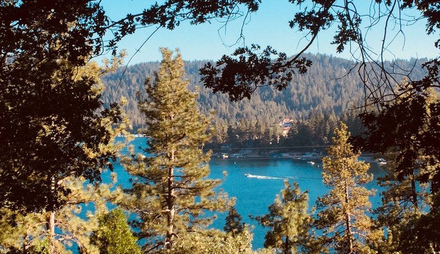 Stunning 3BR Lake View Gem w/Lake Access. S'mores ready Fire Pit-Dog Friendly