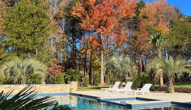 Stunning 4 Bed House Perfect for Nature Lovers