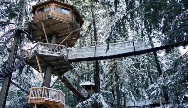 Stunning 47 foot high Treehouse!