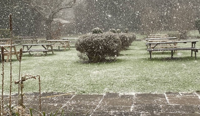 Stunning apartment near UWE