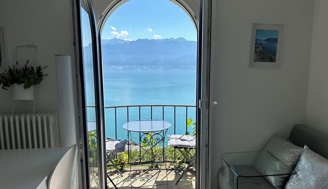 Stunning APT with 360 ° panoramic view of lake Geneva and Alls in the vineyard