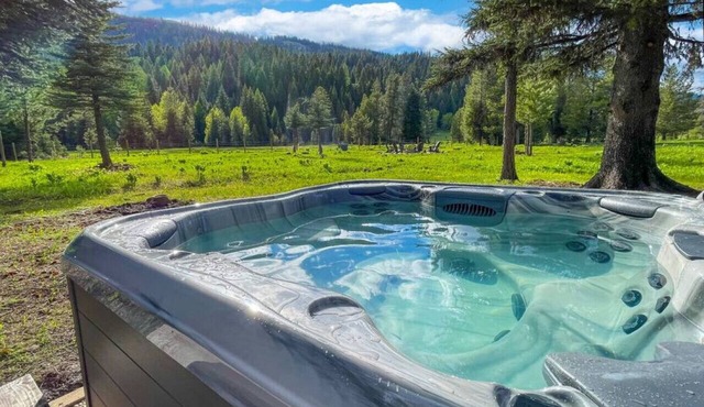 Stunning Cabin on 27 Forested Acres- w/Hot Tub