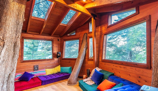 Stunning Cabin & Treehouse