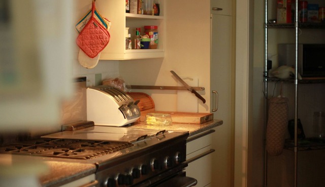 Stunning country home - in the middle of the City