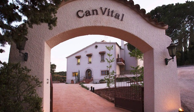 Stunning country house surrounded by vineyards facing Montserrat