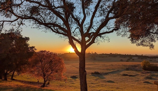Stunning Countryside Retreat
