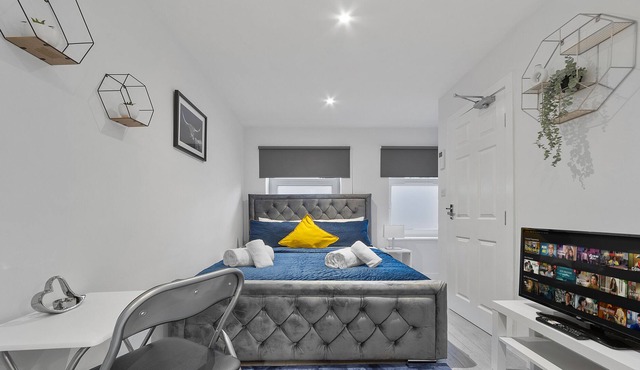 Stunning Ensuite Studio Crystal Palace London SE20