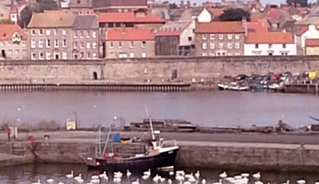 Stunning harbour side Gold graded apartment for two with secure parking