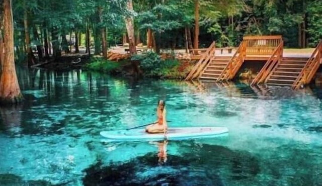 Stunning home 12 mins to Ginnie Springs! Top-rated High Springs Home. In Town!