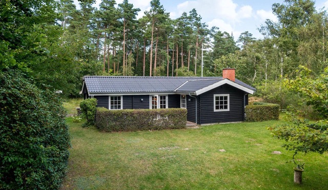 Stunning home in ålbæk with WiFi