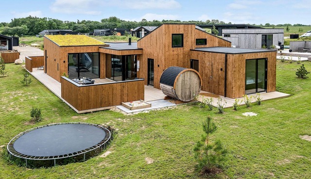 Stunning home in Børkop with sauna