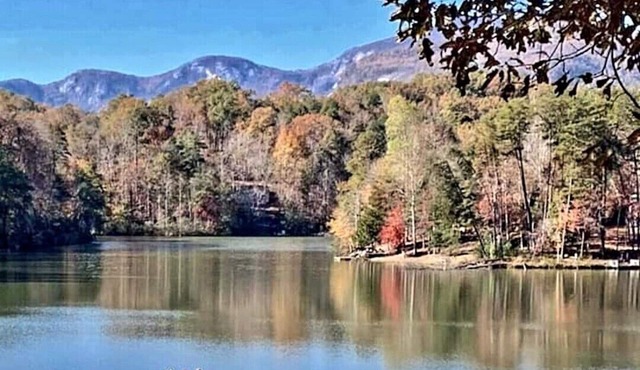 Stunning, huge, Walk to Lake/BEACH/River/pet/canoes, kayaks