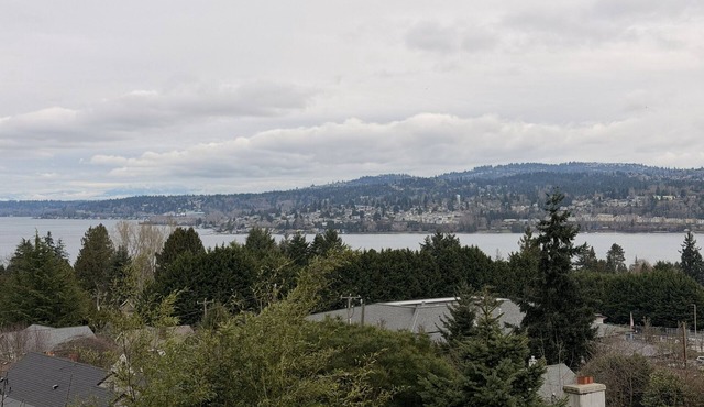 Stunning Lake Washington Views - Garden Oasis in charming Seattle
