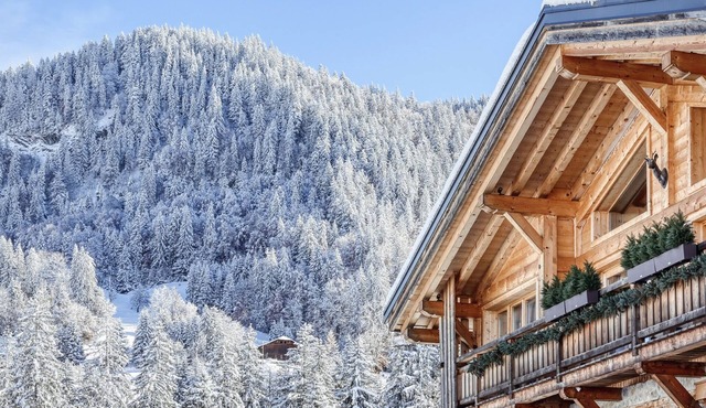 Stunning luxury chalet with pool directly on the slopes