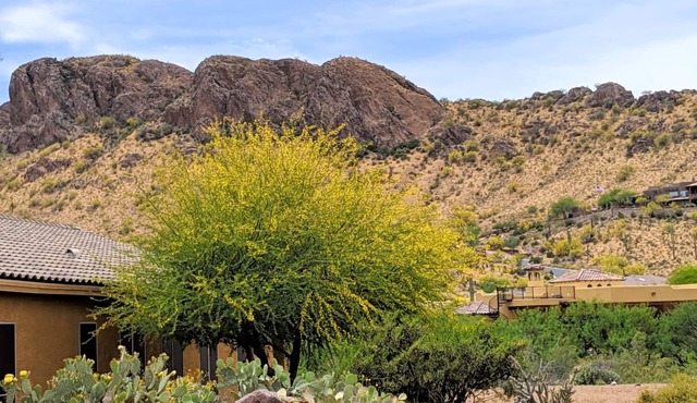 Stunning Mountain Views from this Gold Canyon Home!