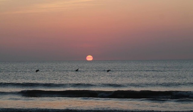 Stunning Ocean & Pool View 2/2 Ormond Beach Florida #204