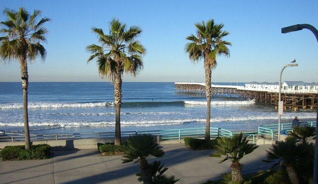 Stunning Oceanfront 2 BR with Panoramic Ocean and Beach Views!