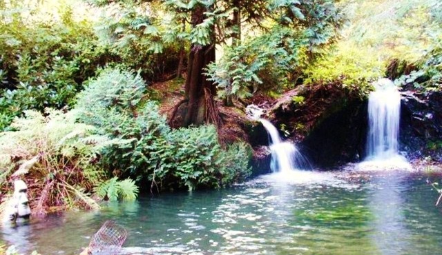 Stunning panoramic views & 2 acre woodland with 5 pools, waterfalls & 17 benches