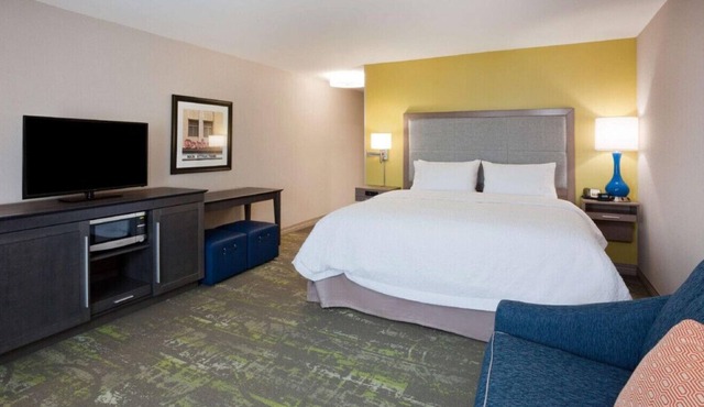 Stunning Pet-Friendly Room W/ Homelike Comforts