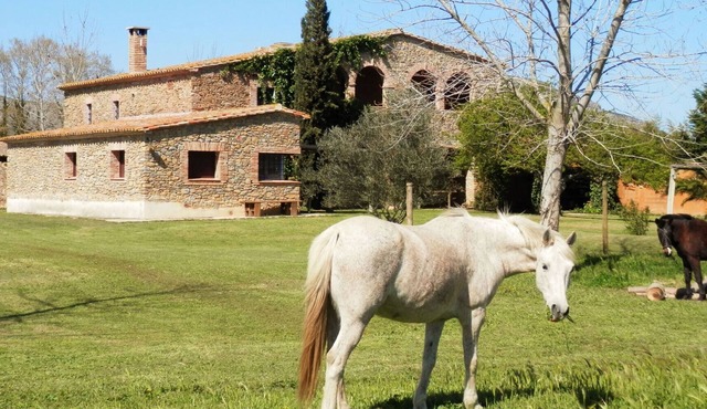 Stunning property isolated, surrounded by nature, 5 min to beaches. Max privacy.