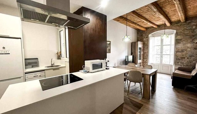 Stunning renovated apt in Besalú old town