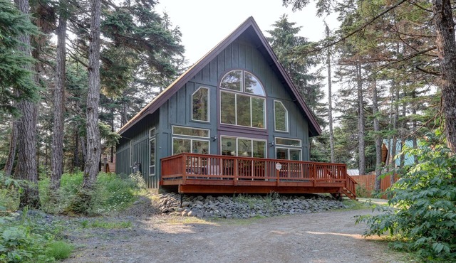 Stunning retreat near the slopes w/private sauna, gas grill, & spacious deck