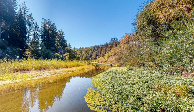 Stunning riverfront estate with hot tub, dock, & fireplace - dog-friendly