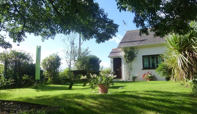 Stunning rural cottage central to all Pembrokeshire beaches. Dogs Free. Wifi