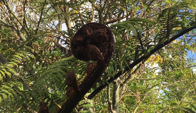 Stunning Sea and Mountain Views - Costal Lifestyle