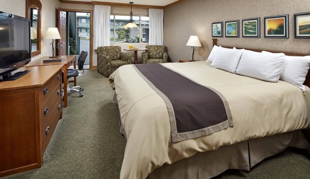 Stunning Seaside Cliffs & Beaches Nearby | Convenient Room w/Sofa bed