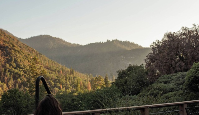 Stunning Sequoia Retreat: Springs, Spa & Sauna