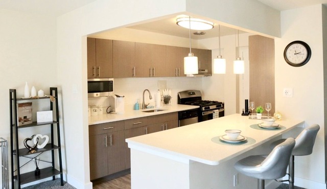 Stunning Spacious 2bd Apt w/ King Bed - Downtown/5 Min To DC/Free Garage Parking