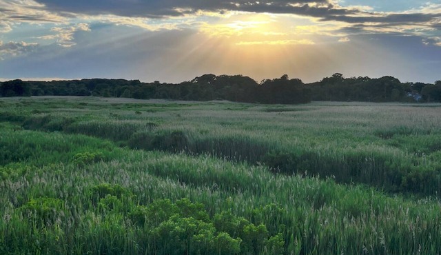 Stunning Sunsets & Coastal Charm in Milford!