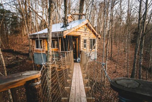 Stunning Tree House Tucked Away Among the Trees near Germantown, Kentucky