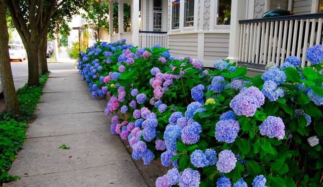 Stunning! Vacation Rentals Ocean Grove & Vacation Rentals Asbury Park