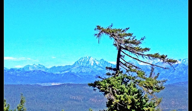 Stunning Views from Custom Cle Elum Cabin! Breweries, Hiking, Fishing, and More!
