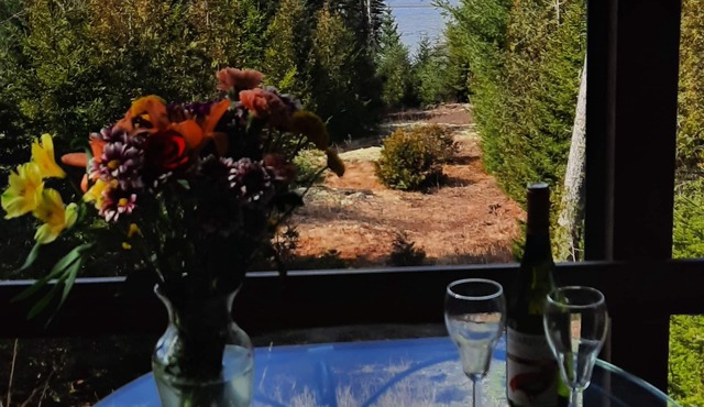 Stunning views shorefront 3 story cottage. Schoodic & Acadia NP nearby. Kayaks!