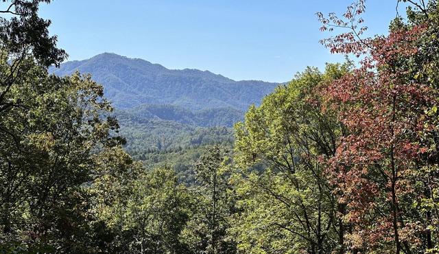 Stunning Views, Superb Atmosphere, Modern Amenities, In the Middle of Nature
