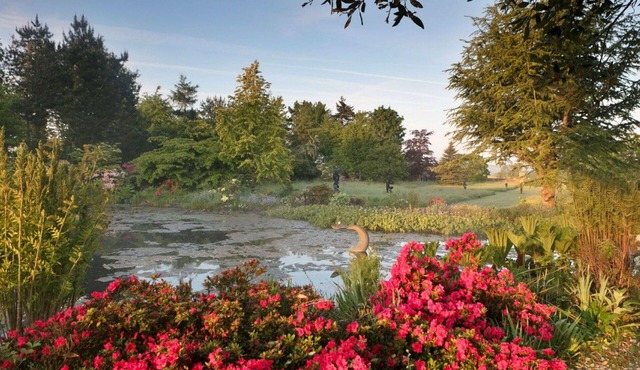 Stunning villa for 6 guests with WIFI, pool