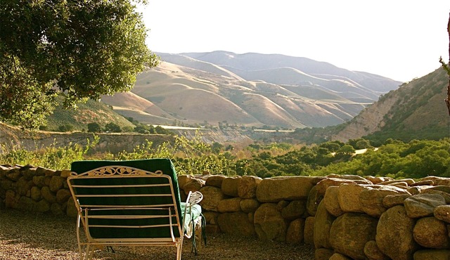 Stunning wine country estate with pool, vineyard, expansive vistas & more