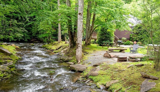 Stunning Yurt with Magnificent Creek Views in Topton, North Carolina